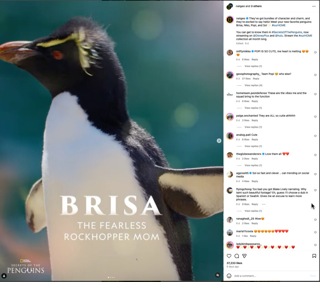 Branding Elements in Instagram Ads